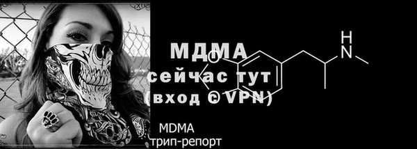 стаф Дмитровск