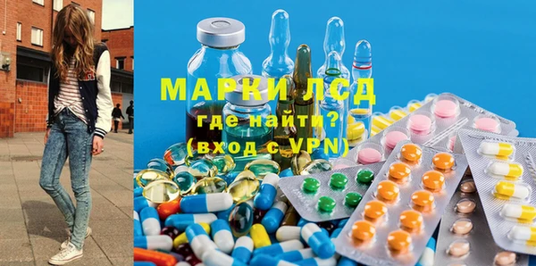 стафф Дмитров