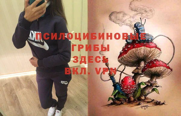 кристаллы Ельня