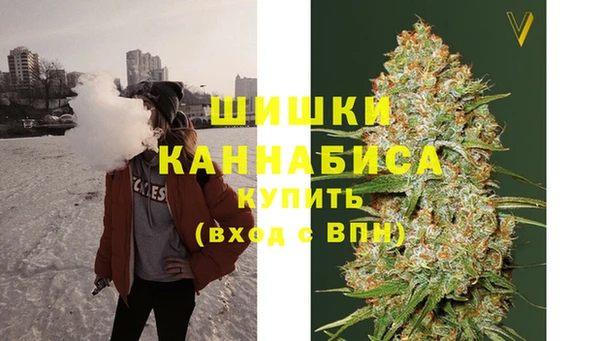 стаф Дмитровск