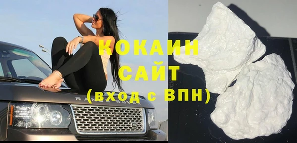 стаф Дмитровск