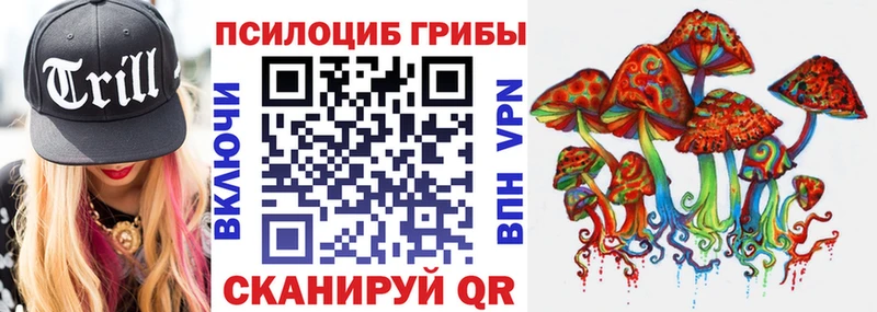 Псилоцибиновые грибы прущие грибы  Купить где  Протвино 